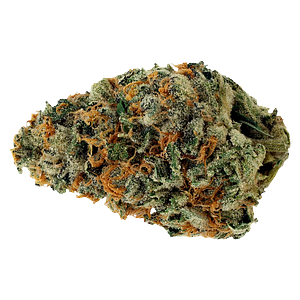 Starting Point! - Star Chase