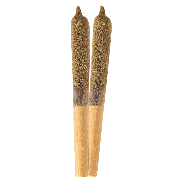 Ripped - Infused Tropical Punch Infused Pre Roll