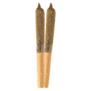 Ripped - Infused Tropical Punch Infused Pre Roll