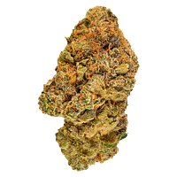 Broken Coast - Milk & Cookies