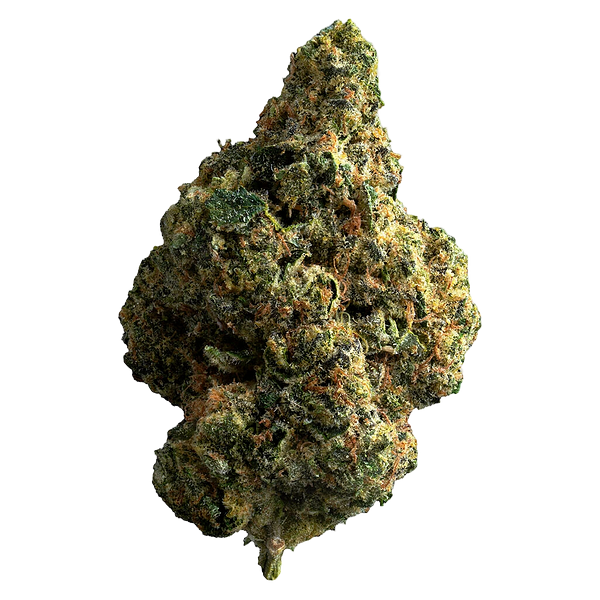 The Republic - Republic Reserve 25%+ Indica