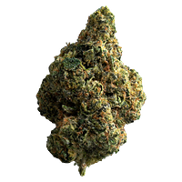 The Republic - Republic Reserve 25%+ Indica