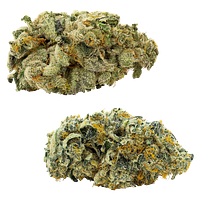 Big Bag O' Buds - Comboz: Pink Kush Mints + Jet Fuel Pie