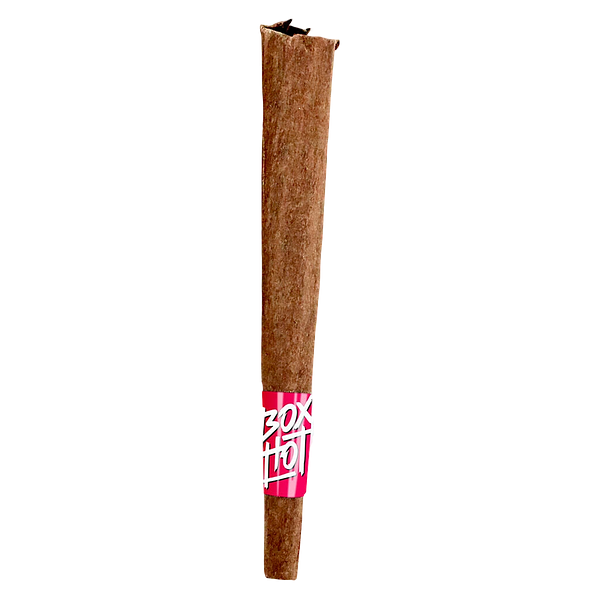 BOXHOT Fatties - Strawberry Diesel Infused Blunt