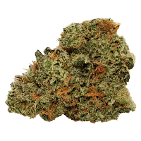 Tam Tams - Tropical Milkshake