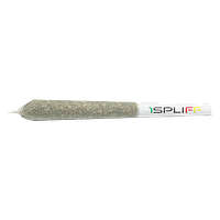 1Spliff - Celestial Mega Pack Pre Roll