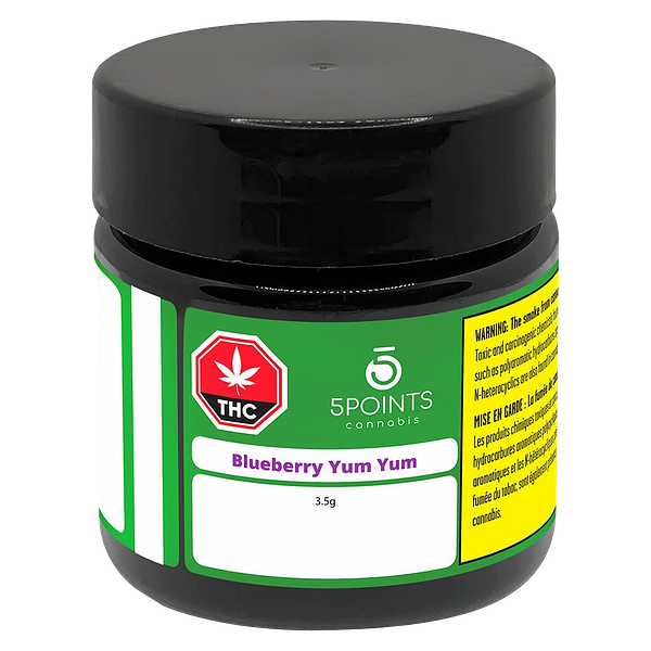 5 Points Cannabis - Blueberry Yum Yum
