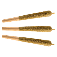 Fuego - Purple Rocket Og Distillate Infused Pre Roll