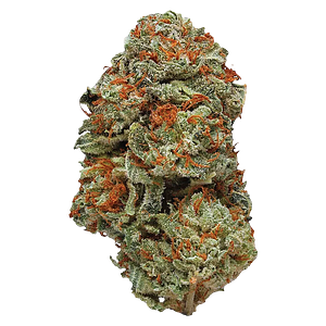 Station House - La Confidential