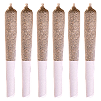 Station House - La Confidential Pre Roll