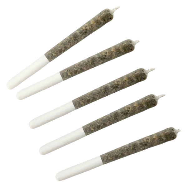 Dime Bag - Puckering Peacock Pocket Rockets Infused Pre Roll