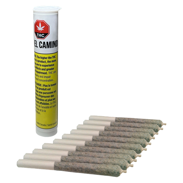 El Camino - Baby Blue Pre Roll