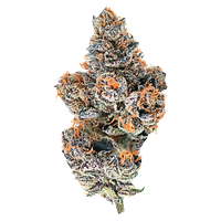 BLK MKT - El Jefe Zoap