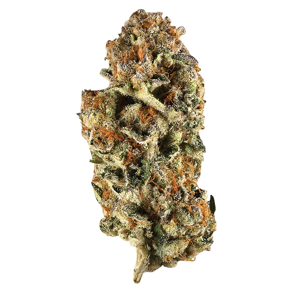 Station House - Canadian Northern Series