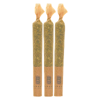 Ritual Sticks - Blue Pave Pre-Roll