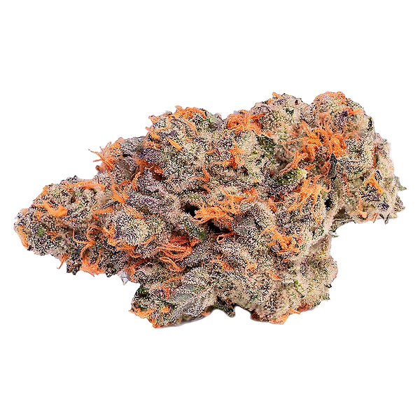 Coterie - Pink Rose #4