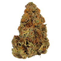 Weed Me - Gassy Treasure