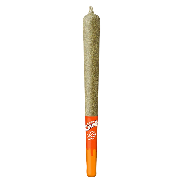 DiscoFSH - Orange Crush 44's Infused Pre Roll