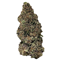 Crooked Dory - Mint Smash