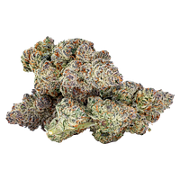 Sixty Seven Sins - 67 Artisan Reserve