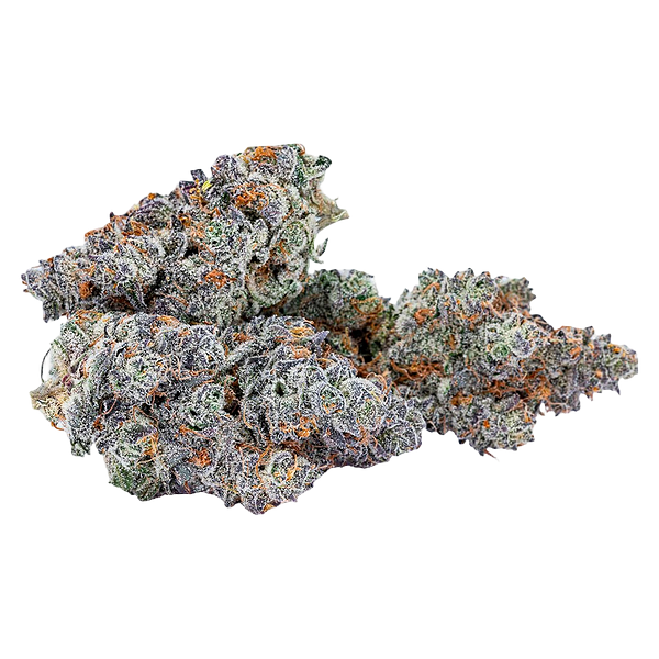 Sixty Seven Sins - Gary Satan