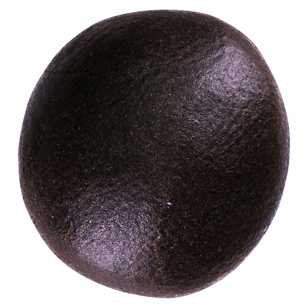 Lune Rise Farms - 2:1 Cbd/Thc Lemon Zest Balanced Bubble Hash