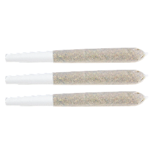 EastCann - Gastro Pop Pre Roll