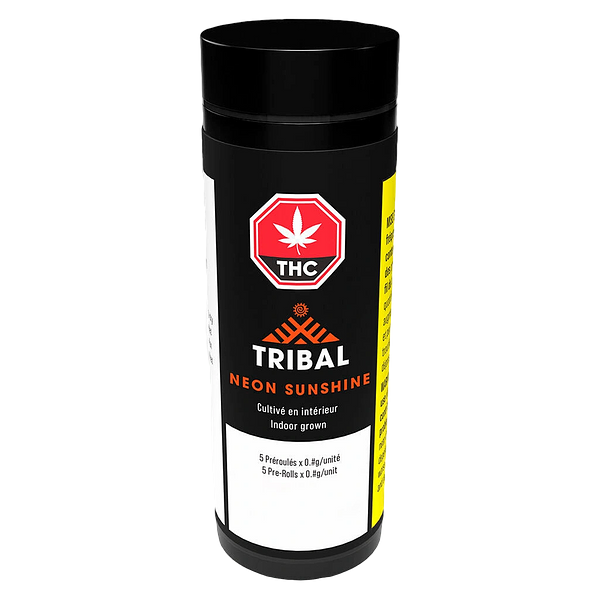 Tribal - Neon Sunshine Pre Roll