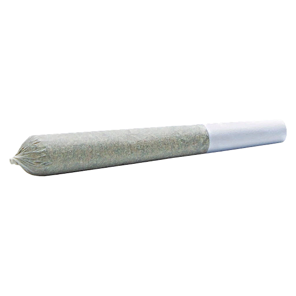 Wildlife Cannabis Co. - Foxy Haze Face Pre Roll