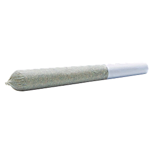 Wildlife Cannabis Co. - Foxy Haze Face Pre Roll
