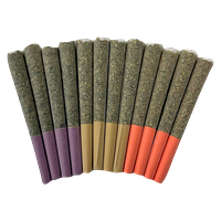 Dom Jackson - Gas Mask Variety Pack Pre Roll