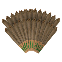 Ripped - Zone In / Zone Out Pre Roll