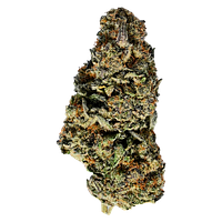 TADU - Mutant Rootbeer