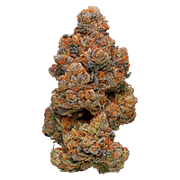 Mendo Select - Peach Queen