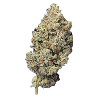 Papa's Herb - Astro Pink