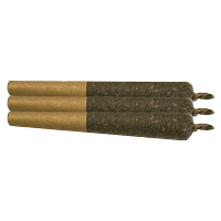 Sheeesh! - Trop Cherry Infused Pre Roll