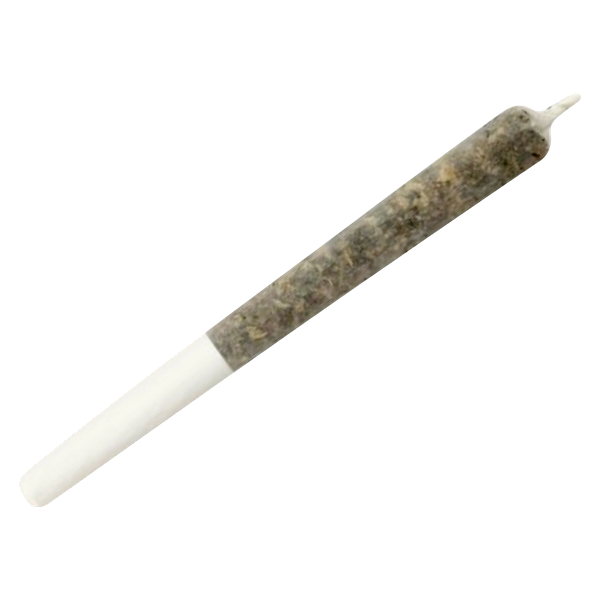 Dime Bag - Hazelnut Spread Pocket Rockets Infused Pre Roll