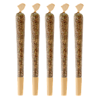 Mendo Select - Mendo Skunk Pre-Roll