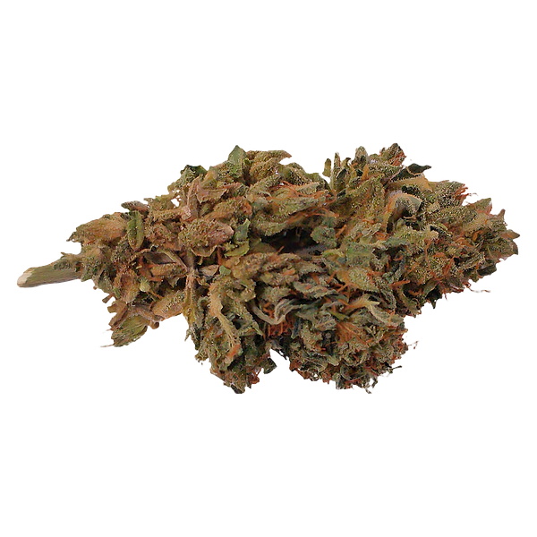 HCBD ORGANICS - Ambassador Organic Craft Cbd