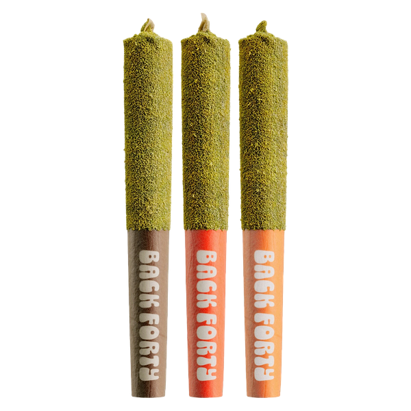 Back Forty - Kief Coated Taster Pack Infused Pre Roll