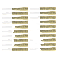 Original Dankster - Trapstar Pre-Roll 