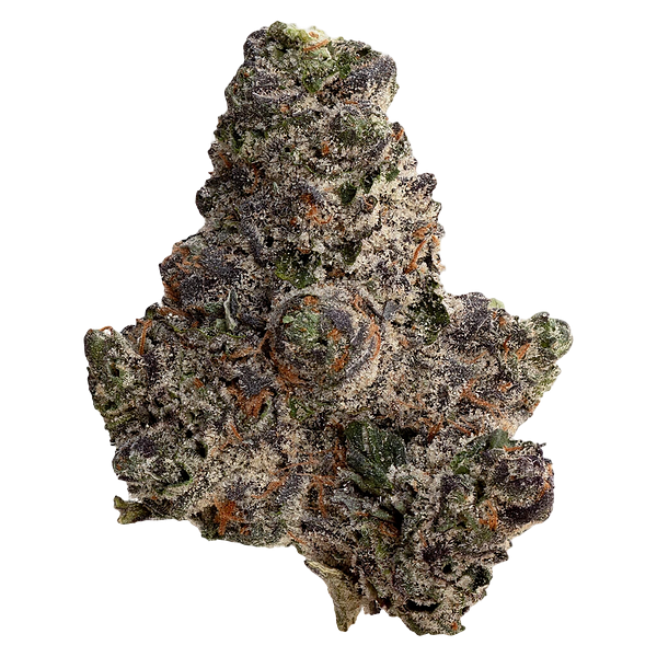 Original Dankster - Trapstar