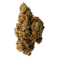 MaryJane's - Secret Strains