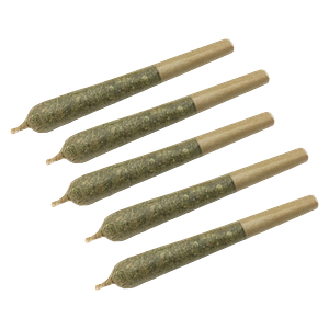 Clem & Co. - Apricot Cream x Cheese 1:1 Pre-Roll