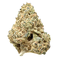 Snicklefritz - Sativa