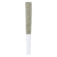 Crooked Dory - AAA+ Sativa Pre-Roll