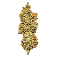 Mendo Select - Royal Moby