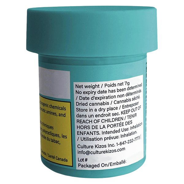 Coterie - Alien Mintz