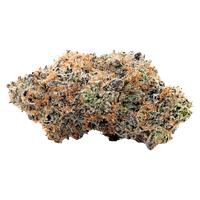 Coterie - Alien Mintz