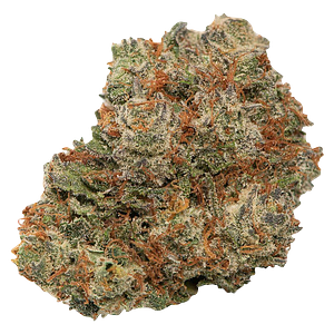 Zip - Half Zip Island Pink